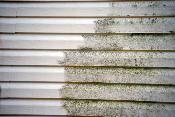 Best Property Management Cleanouts  in Port Sulphur, LA