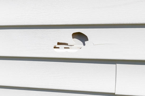 Best Construction Debris Removal  in Port Sulphur, LA